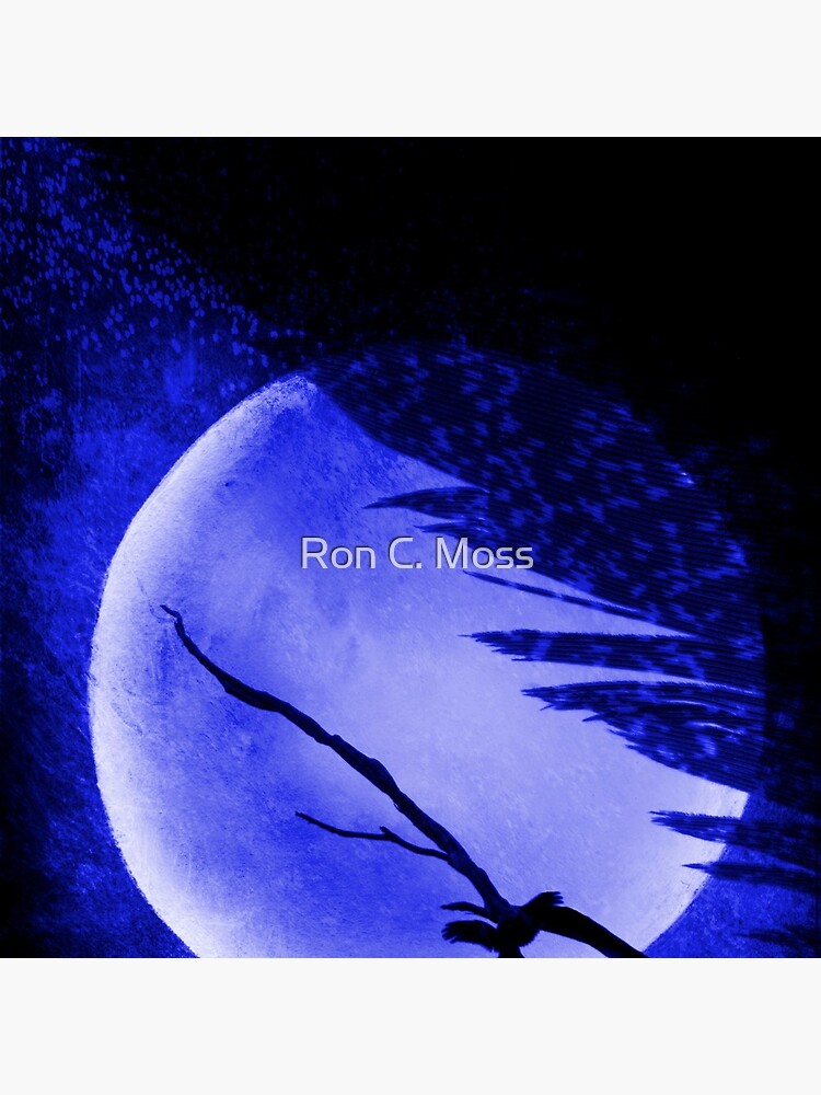G I F T 2 by ronmoss