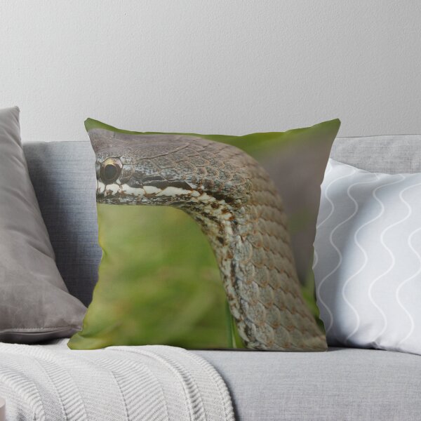 Item preview, whitelipped snake designed and sold by Thow's Photography.