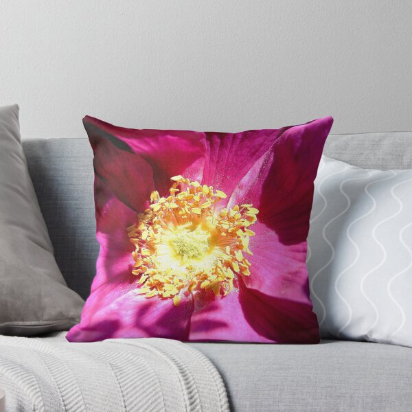 Item preview, Sunlit Centre designed and sold by stanowen.