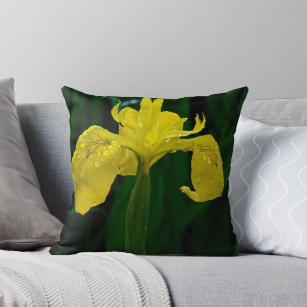 Item preview, Wild Iris designed and sold by Jeffrey  Sinnock.