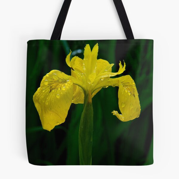 Item preview, Wild Iris designed and sold by Jeffrey  Sinnock.
