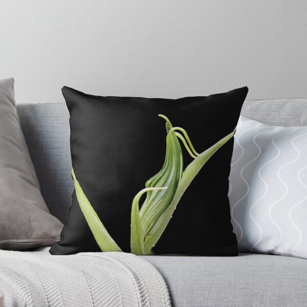 Item preview, Unfurling designed and sold by Barb Leopold.