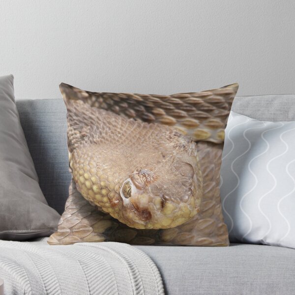 Item preview, Timber Rattlesnake designed and sold by Dandelion Dilluvio.