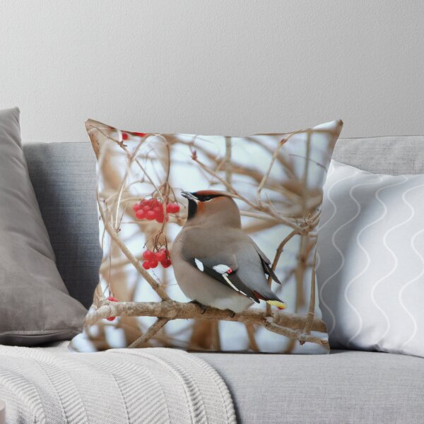 Item preview, Bohemian Waxwing..feeding stop in Amherst,Nova Scotia designed and sold by Gary Boudreau.