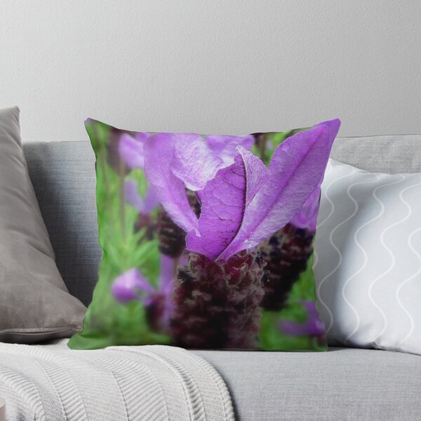 Item preview, Lavender in a Different State designed and sold by paintingsheep.