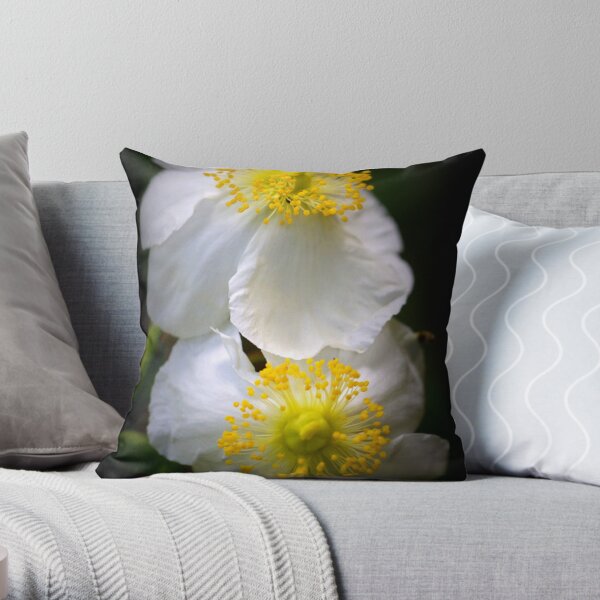 Inside Out Throw Pillow