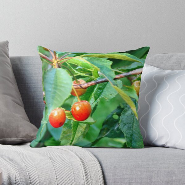 Shining Promises Throw Pillow
