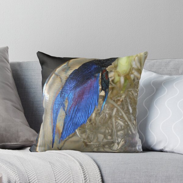 Item preview, beta fish designed and sold by ssphotoshop.