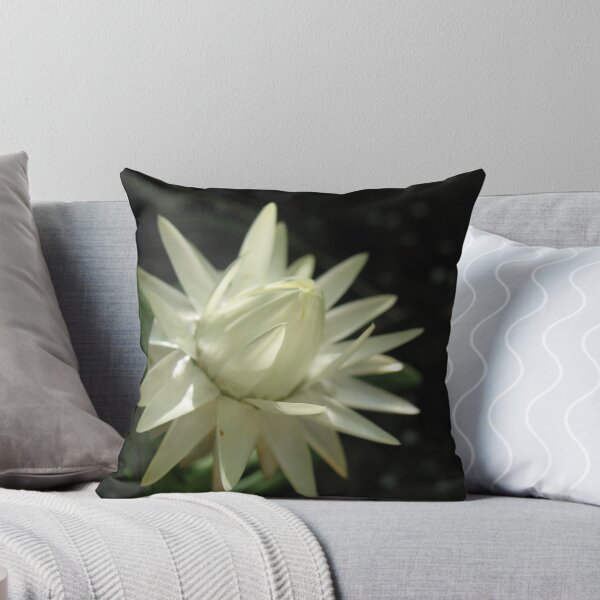 Item preview, Approaching Summer designed and sold by MarianBendeth.