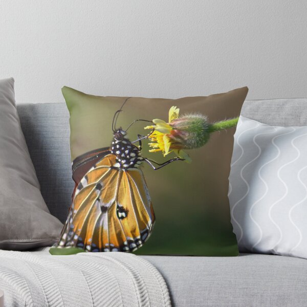 Item preview, Monarch Up Close designed and sold by AMBPIXELS.