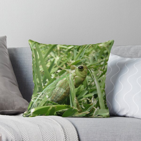 Item preview, He really thinks he's hiding - Ha! designed and sold by BuddyOne.