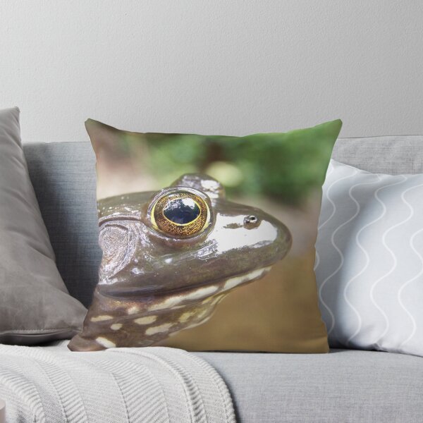 Item preview, Bull Frog designed and sold by Dandelion Dilluvio.