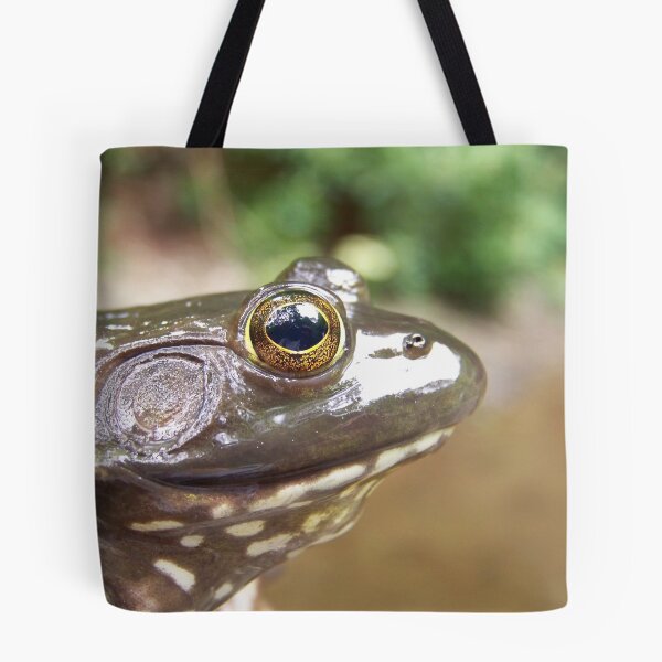 Item preview, Bull Frog designed and sold by Dandelion Dilluvio.