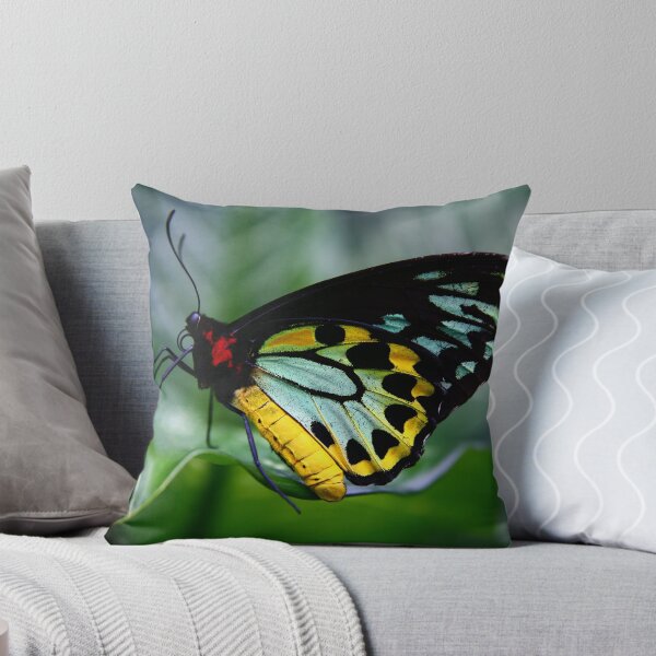 Aperçu de l'œuvre Butterfly créée et vendue par MiaRose.