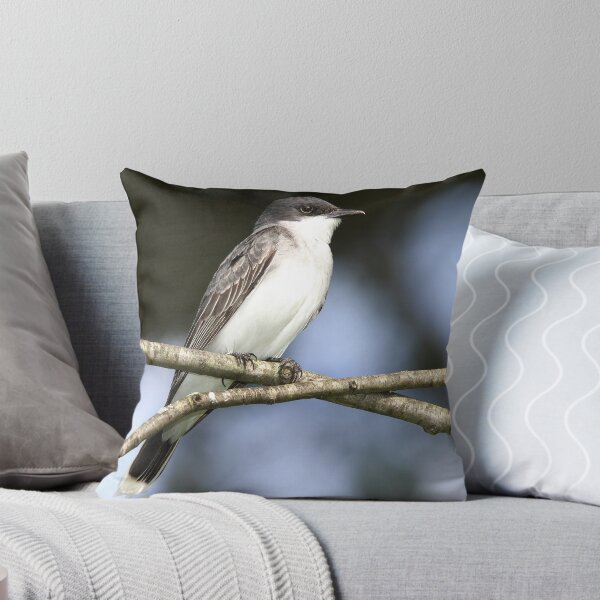Item preview, Eastern Kingbird w/flash. designed and sold by Erik Anderson.