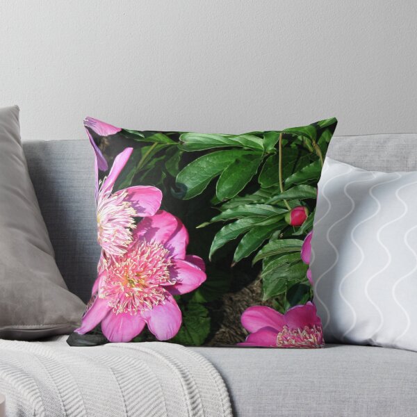 Item preview, Pink Peonies designed and sold by Claude Johnson.