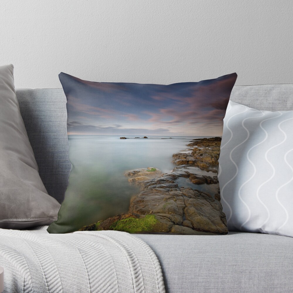 Gale Force 10 Throw Pillow