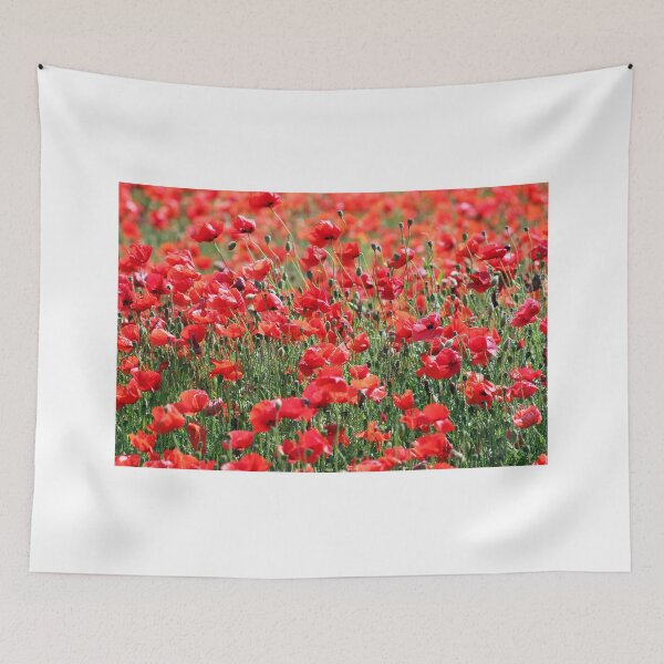 Aperçu de l'œuvre coquelicots rouges pré de fleurs dans le paysage de printemps créée et vendue par goceris.