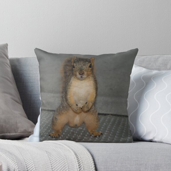 Item preview, Macho Squirrel designed and sold by montecore827.