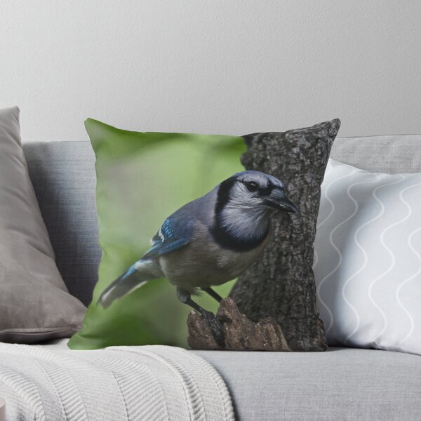 Item preview, Blue Jay designed and sold by noffi.