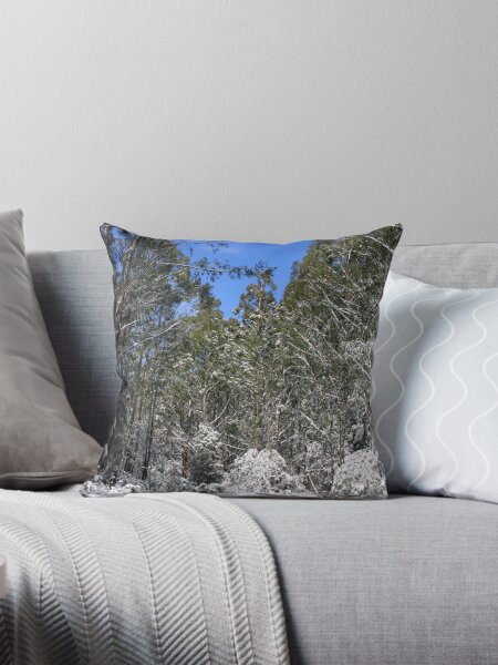 Item preview, The road to the Summit of Mt.Baw Baw designed and sold by cjcphotography.
