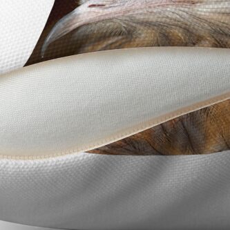 Alternate view of Raptor at Featherdale Wildlife Park Throw Pillow