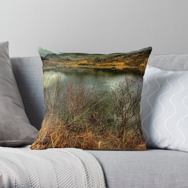 Sligachan Grasses Throw Pillow