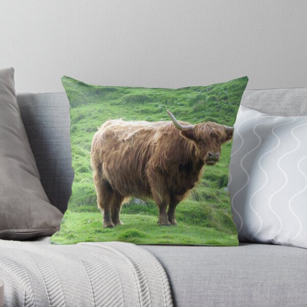 Highland Coo Throw Pillow
