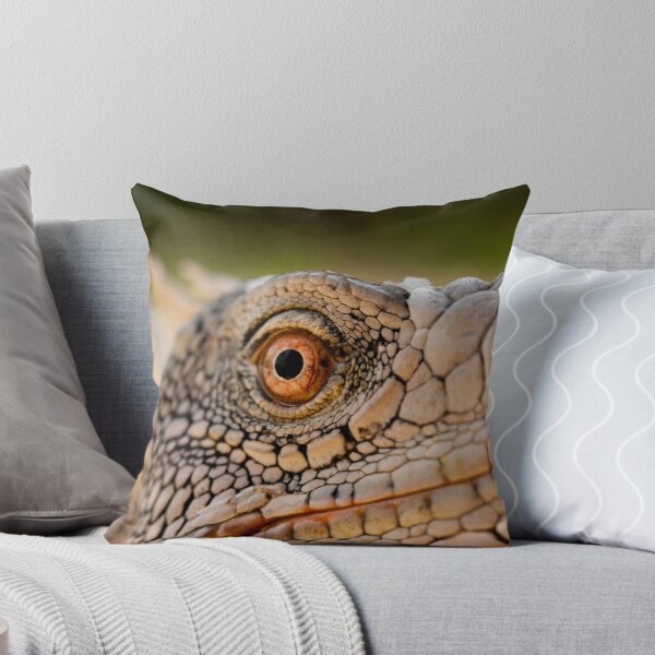 Aperçu de l'œuvre Iguana in Bonaire créée et vendue par Paul Lenharr II.