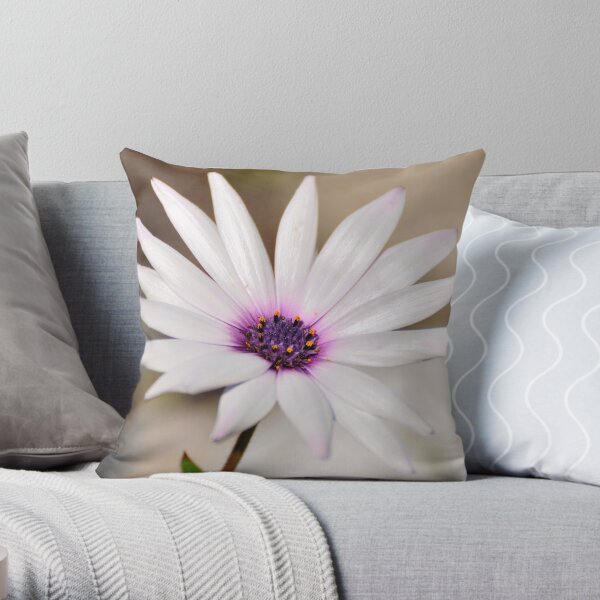South African Daisy Throw Pillow
