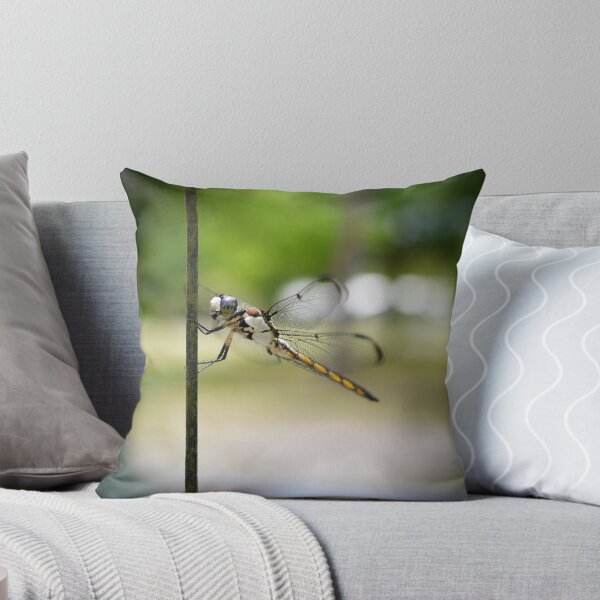 Item preview, Bug Hunter designed and sold by DanAlford.