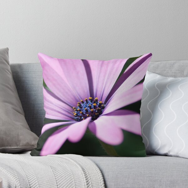 Item preview, Rise and Shine designed and sold by TMphotography.