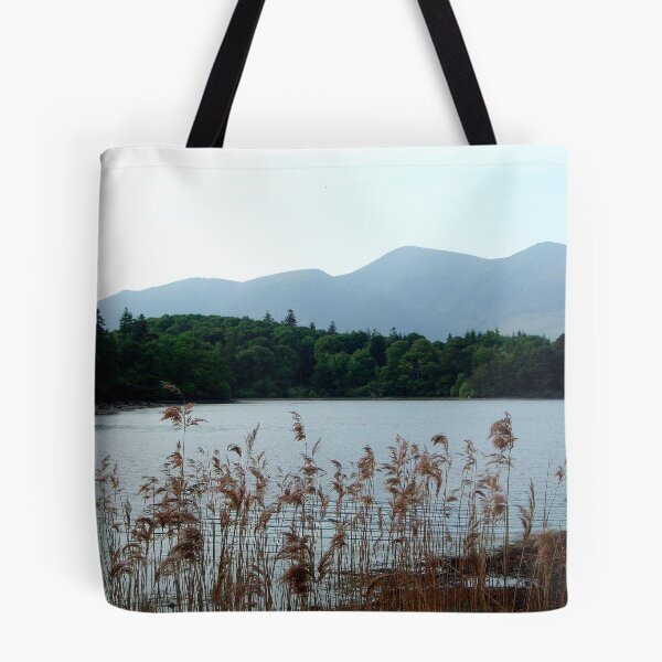 Item preview.