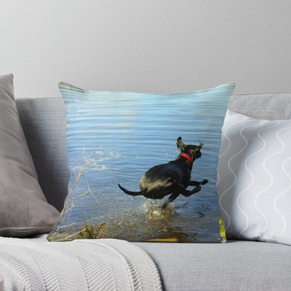 Item preview, I can fly,I can fly.. designed and sold by Gary Boudreau.