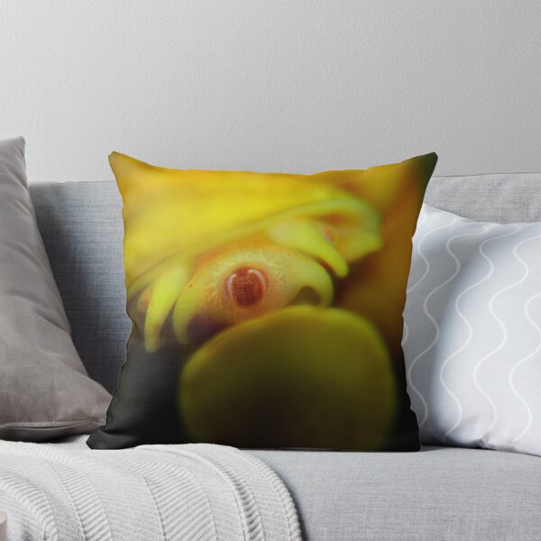 Item preview, a snail's pace designed and sold by Anthony Mancuso.