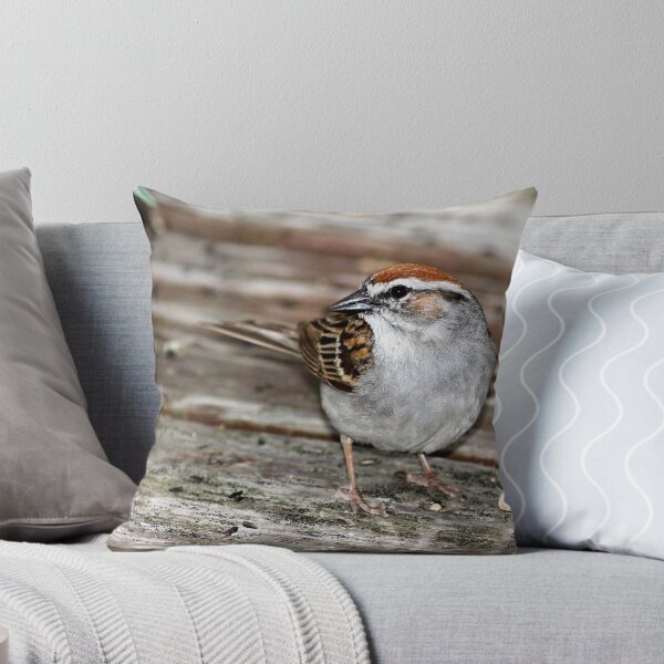 Item preview, Chipping Sparrow designed and sold by Erik Anderson.