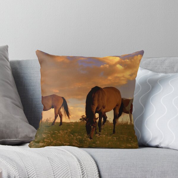 Splendor Of A Summer Evening  Throw Pillow