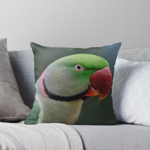 Item preview, Alexandrine Parrot designed and sold by Jenny Dean.