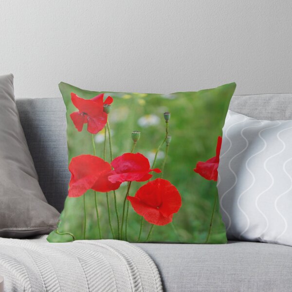 Aperçu de l'œuvre Poppies créée et vendue par roumen.