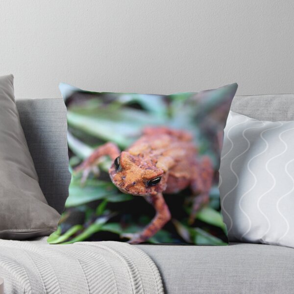 Item preview, Bufo americanus designed and sold by CBP Productions.