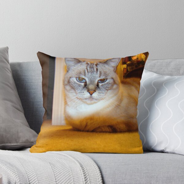 Item preview, Master Of The House designed and sold by ALBzArt.