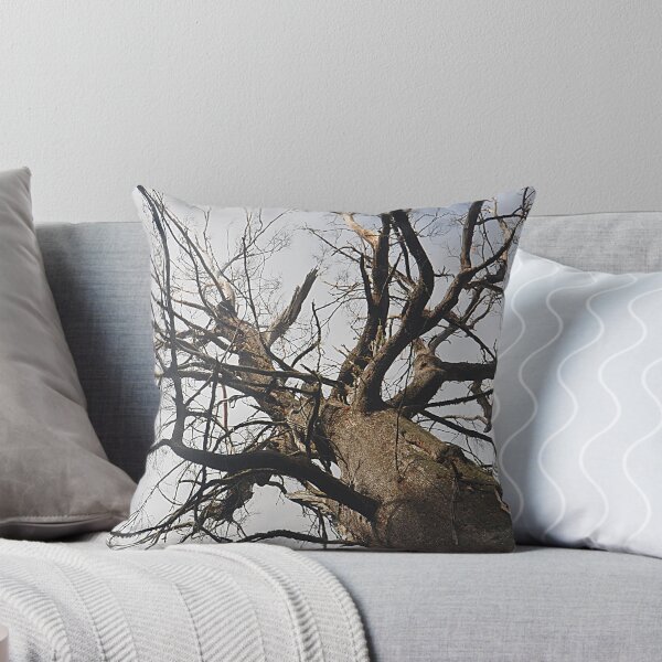 Item preview, Mt Wilson NSW - Giant Tree - Cathedral of Ferns (3) designed and sold by Bev Woodman.