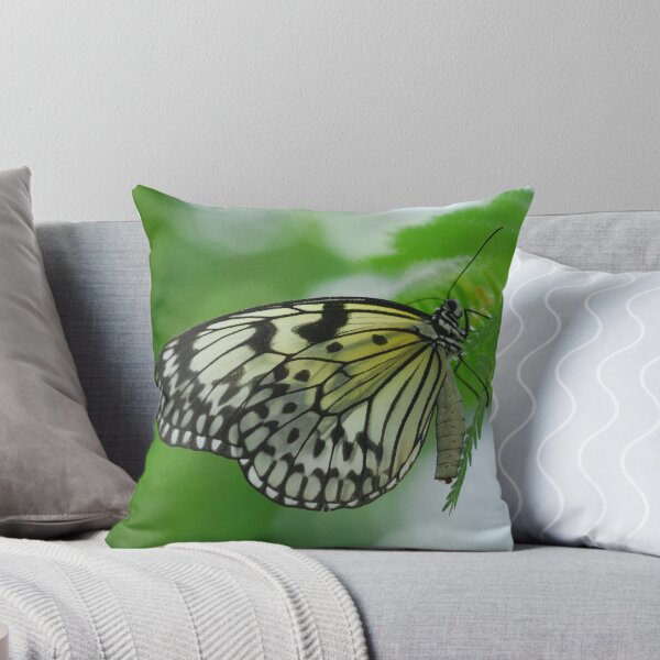 Item preview, Butterfly  designed and sold by roumen.