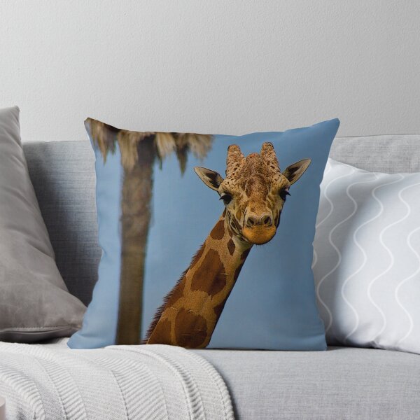 Item preview, Hello There designed and sold by Justin Baer.