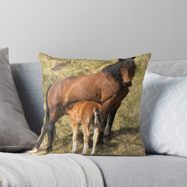 Item preview, Lunch Time designed and sold by James (820Photography) Anderson.
