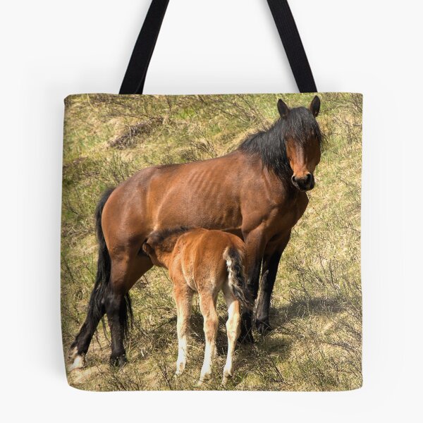 Item preview, Lunch Time designed and sold by James (820Photography) Anderson.
