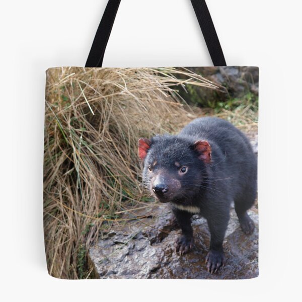 Item preview, Cheeky Little Devil designed and sold by Kylie  Gillard.