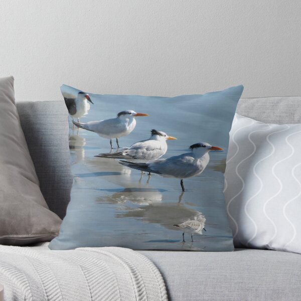 Item preview, You're going South????? designed and sold by Brenda Dow.