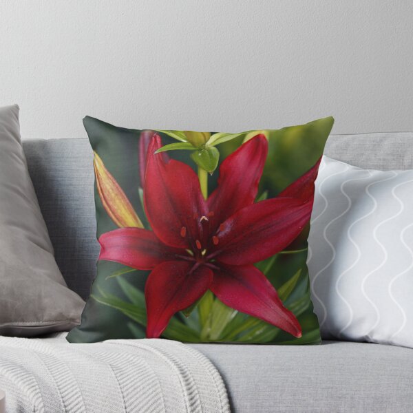 Artikelvorschau, Red Lily entworfen und verkauft von AnnDixon.