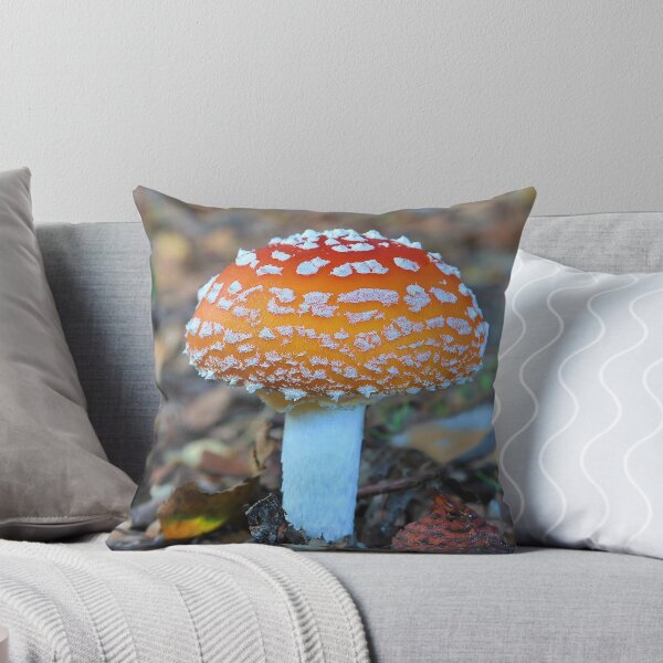 Artikelvorschau, Fly Agaric entworfen und verkauft von relayer51.